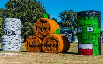 Spooktacular Fun Awaits at Splashway Halloweekends