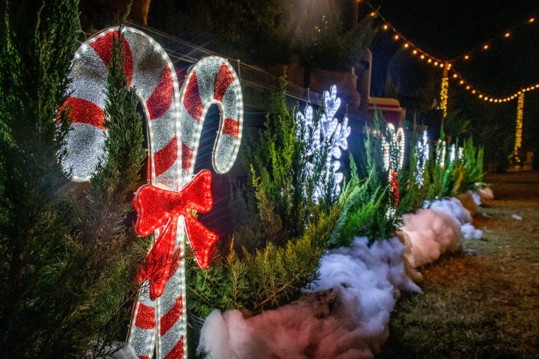 Lighted candy canes along the path at Ray's Magical Candy Cane Farm